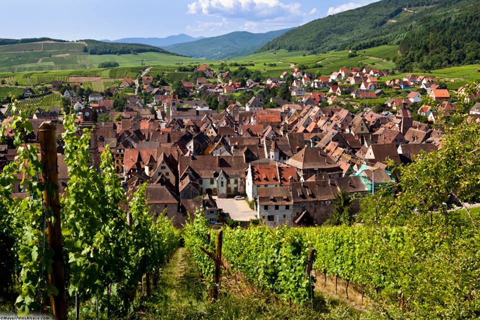rota dos vinhos da Alsácia
